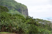 Moorea-40