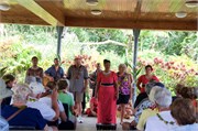 ApiaSamoa47