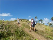 Dravuni-Fiji10