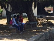 Vavauu-Tonga12