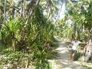 Dravuni-Fiji5