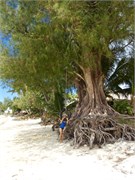 Rarotonga_46