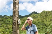 Rarotonga_75