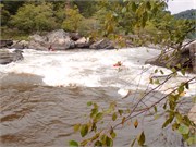 49_UpperGauley1800cfs
