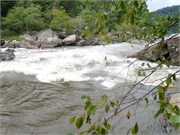 50_UpperGauley1800cfs