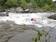 61_UpperGauley1800cfs