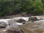 84_UpperGauley1800cfs