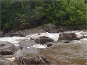 87_UpperGauley1800cfs