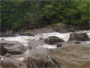 90_UpperGauley1800cfs