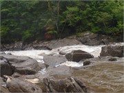 91_UpperGauley1800cfs