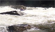 18_SweetsFalls2800cfs