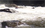 19_SweetsFalls2800cfs