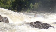 6_SweetsFalls2800cfs