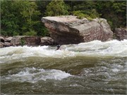 50_LowerGauley2800cfs