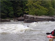 45_Surfers09122015-