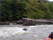 47_Surfers09122015-