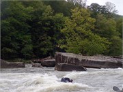 54_Surfers09122015-