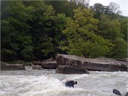 56_Surfers09122015-