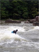 81_Surfers09122015-