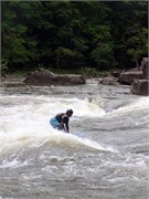 83_Surfers09122015-