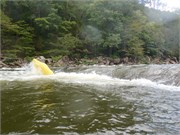 10_LowerGauley09132015