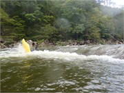 11_LowerGauley09132015