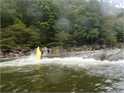 12_LowerGauley09132015