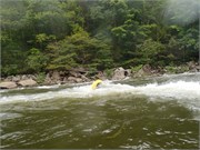 14_LowerGauley09132015