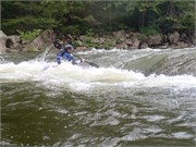 17_LowerGauley09132015