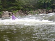 22_LowerGauley09132015
