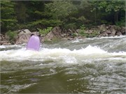 24_LowerGauley09132015