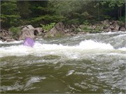 25_LowerGauley09132015