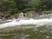 26_LowerGauley09132015