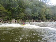 5_LowerGauley09132015