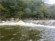 9_LowerGauley09132015