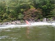 b_Gauley3rdWk-166