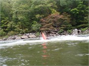 b_Gauley3rdWk-167