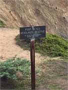 PointReyes1
