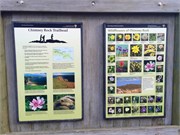 PointReyes19