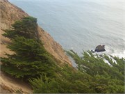 PointReyes25