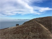 PointReyes3