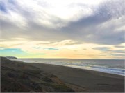 PointReyes35