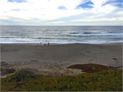 PointReyes37