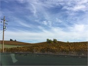 MarinCounty7