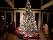 Christmas2015_1