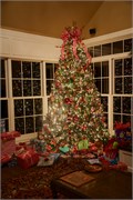 Christmas2015_36