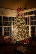 Christmas2015_37