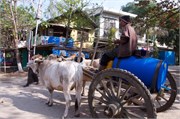 153_Magway_53