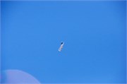 233_76_PimaAirSpace
