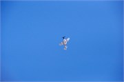 235_78_PimaAirSpace